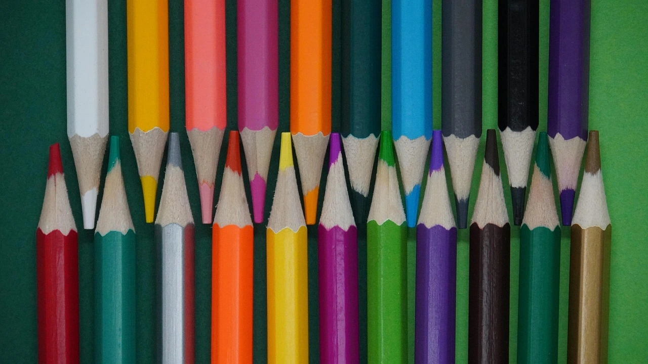 Colourful pencils arranged neatly for students participating in the EduJunior Art Contest